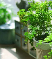 舟山专属于你的开运指南，助你鸿运当头福满身！